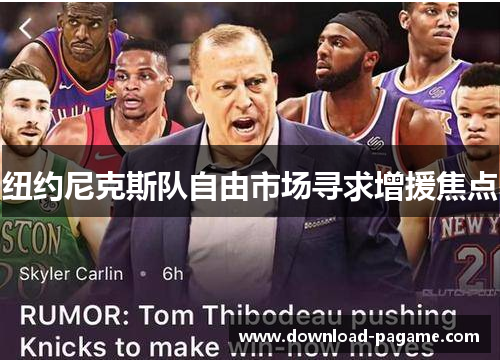 纽约尼克斯队自由市场寻求增援焦点