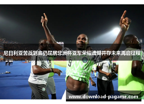 尼日利亚苦战到底仍屈居非洲杯亚军荣耀遗憾并存未来再启征程