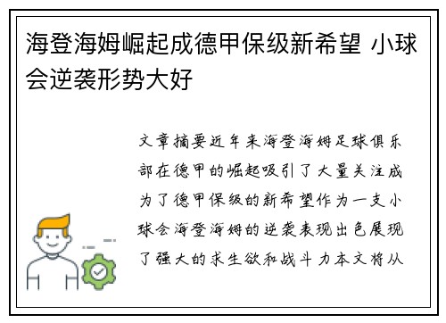 海登海姆崛起成德甲保级新希望 小球会逆袭形势大好
